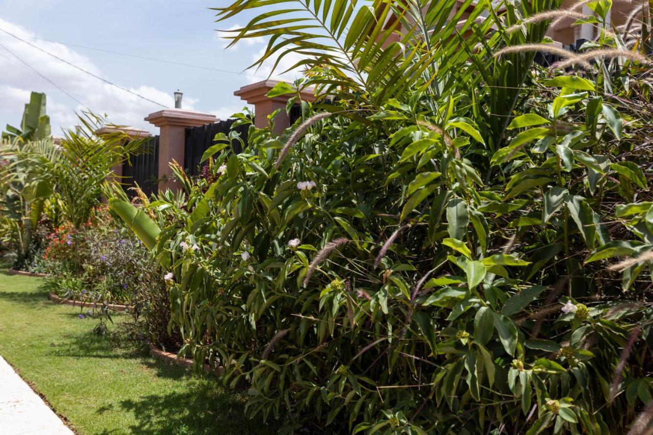 Inganzo Boutique Hotel คิกาลี ภายนอก รูปภาพ